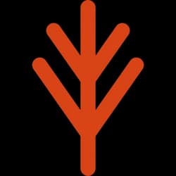 Logo naaya